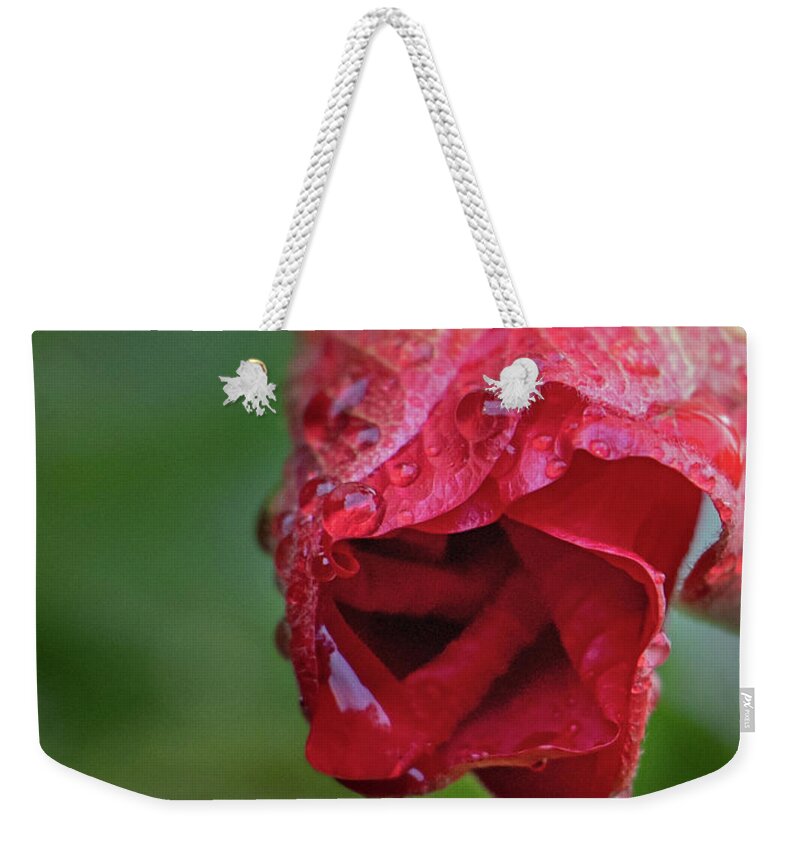 Hibiscus Weekender Tote Bag featuring the photograph After the Rain by M Kathleen Warren