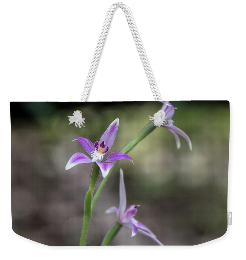 Floral Weekender Tote Bag featuring the photograph Australian Fairy Orchid #2 by Elaine Teague