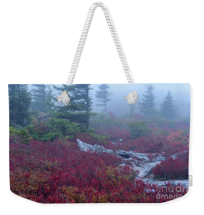 Autumn Weekender Tote Bag featuring the photograph Autumn Fog in Dolly Sods #1 by Thomas R Fletcher