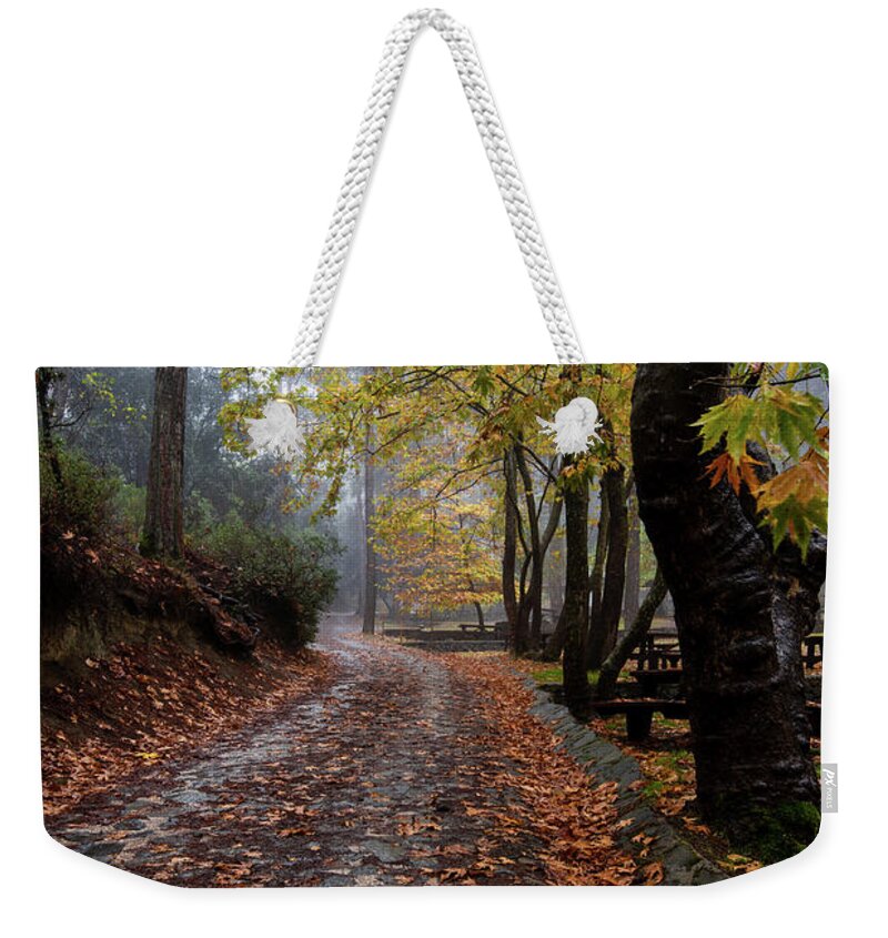 Autumn Weekender Tote Bag featuring the photograph Autumn landscape with trees and Autumn leaves on the ground after rain by Michalakis Ppalis