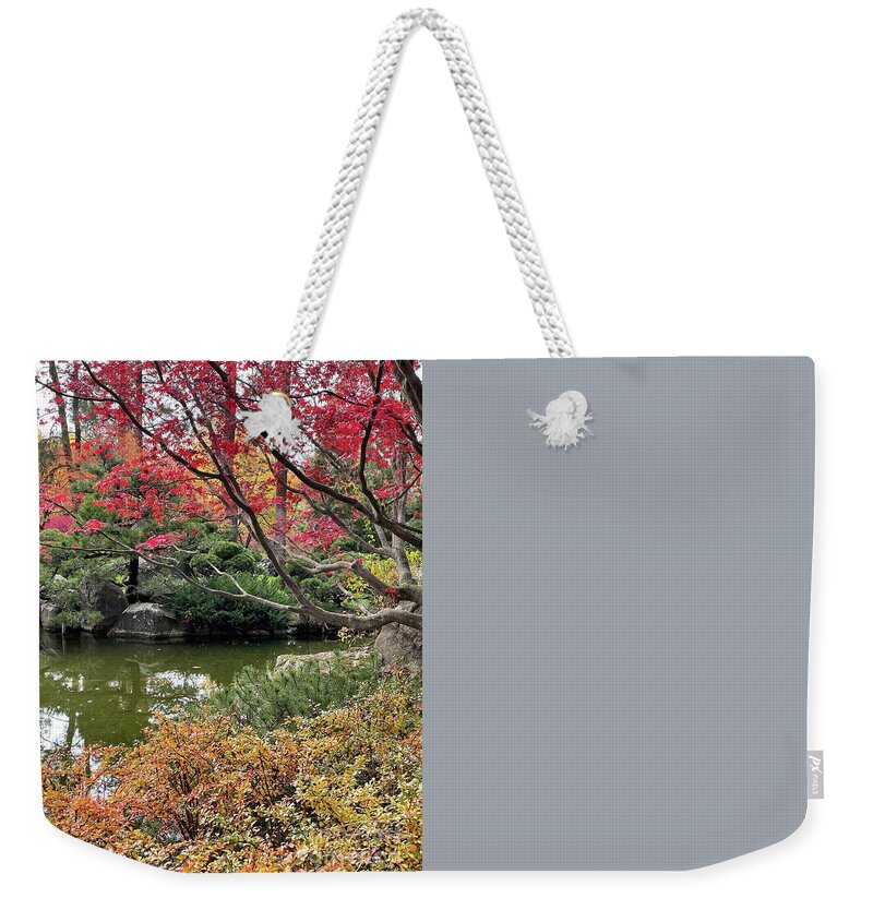Chipmunk Weekender Tote Bag featuring the photograph Balancing Act #2 by Carol Groenen