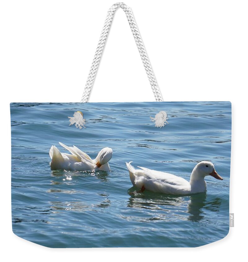  Weekender Tote Bag featuring the photograph Beauty In The Water by Demetrai Johnson