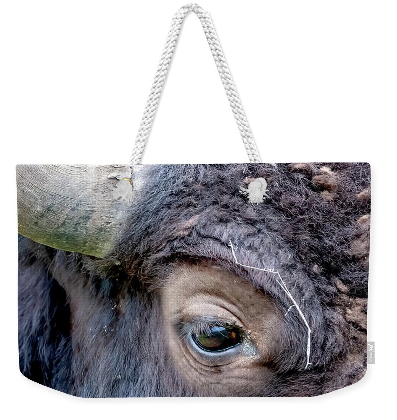 Bison Eye Weekender Tote Bag featuring the photograph Bison Eye #1 by Jack Bell