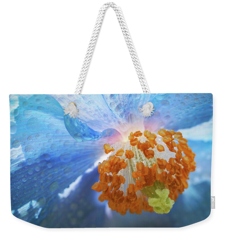 Himalayan Blue Poppies Weekender Tote Bag featuring the photograph Blue Poppy #1 by Louise Tanguay