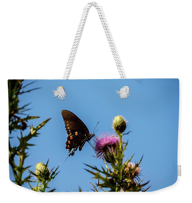 Butterfly Weekender Tote Bag featuring the photograph Butterfly by David Beechum