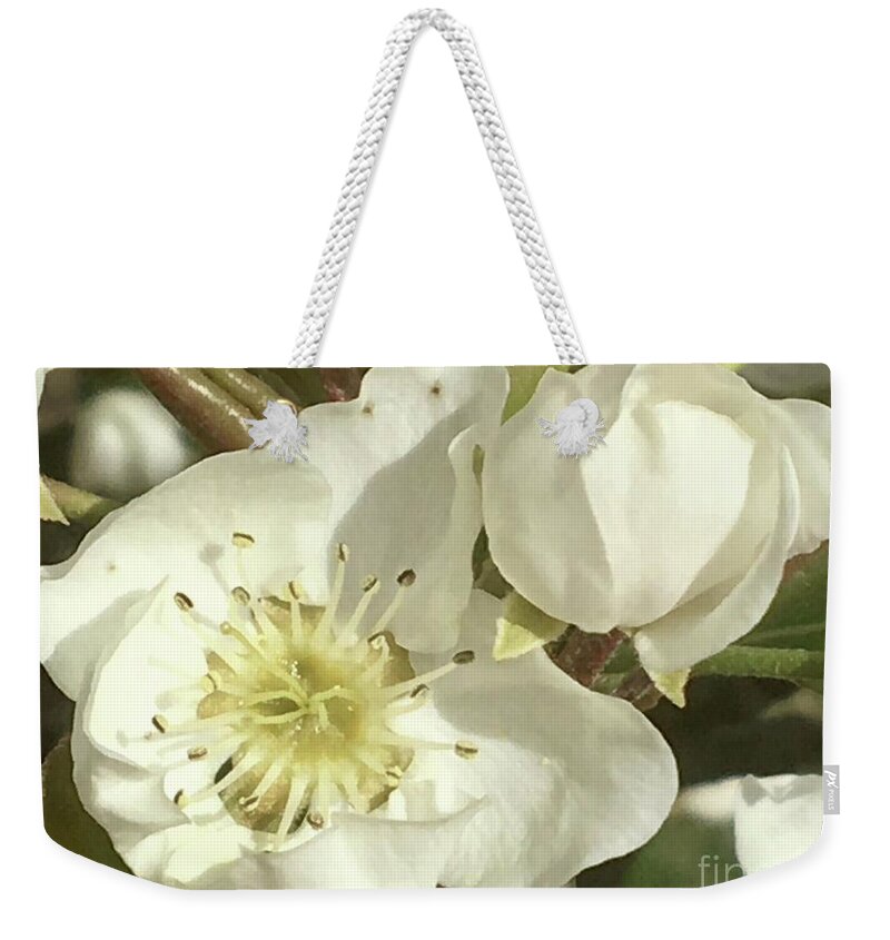 Pear Flowers Weekender Tote Bag featuring the photograph Calm Observation by Carmen Lam