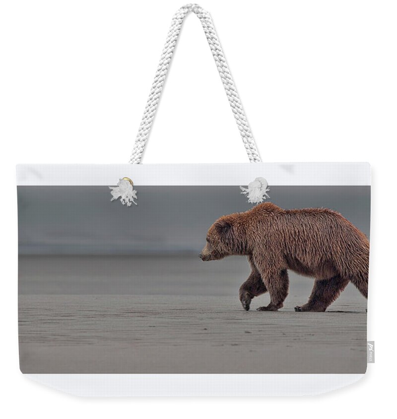 Wild Weekender Tote Bag featuring the photograph Coastal Brown Bear on the flats #1 by Gary Langley