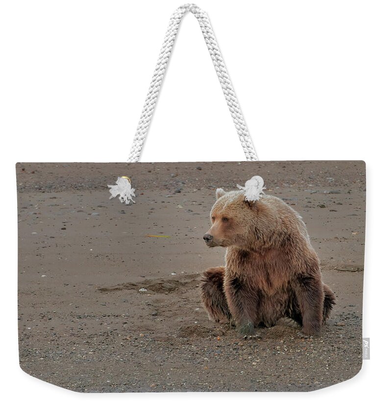 Wild Weekender Tote Bag featuring the photograph Coastal Brown Bear waiting on dinner #1 by Gary Langley
