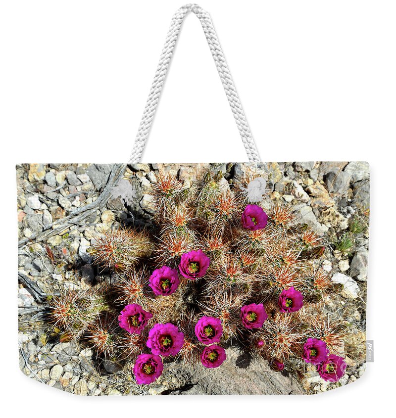 Denise Bruchman Photography Weekender Tote Bag featuring the photograph Desert Bouquet #1 by Denise Bruchman