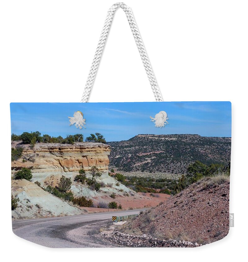 New Weekender Tote Bag featuring the photograph Desert Southwest #1 by Liza Eckardt