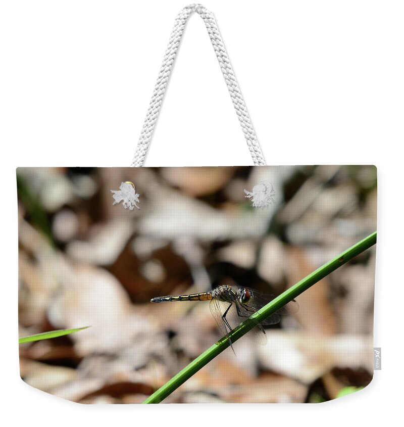 Dragonfly Weekender Tote Bag featuring the photograph Dragon by David Armstrong