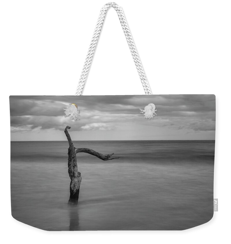 Black Weekender Tote Bag featuring the photograph Driftwood Beach in Black and White by Carolyn Hutchins