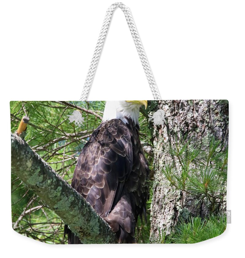 American Eagle Weekender Tote Bag featuring the photograph Eagle #1 by Brook Burling