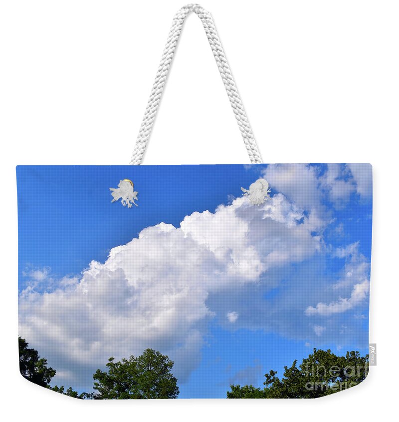 Nature Weekender Tote Bag featuring the photograph Equivalents of Clouds 008 #2 by Leonida Arte