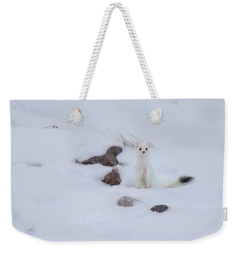 Ermine Weekender Tote Bag featuring the photograph Ermine #1 by Brook Burling