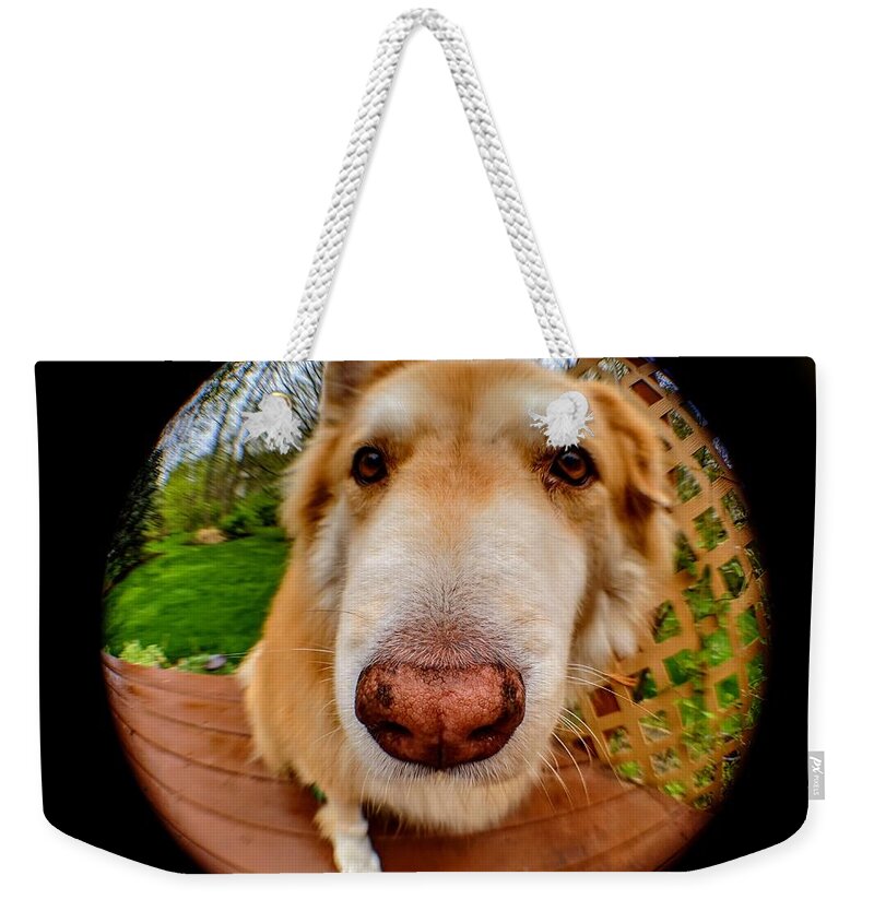  Weekender Tote Bag featuring the photograph Extreme Closeup by Brad Nellis