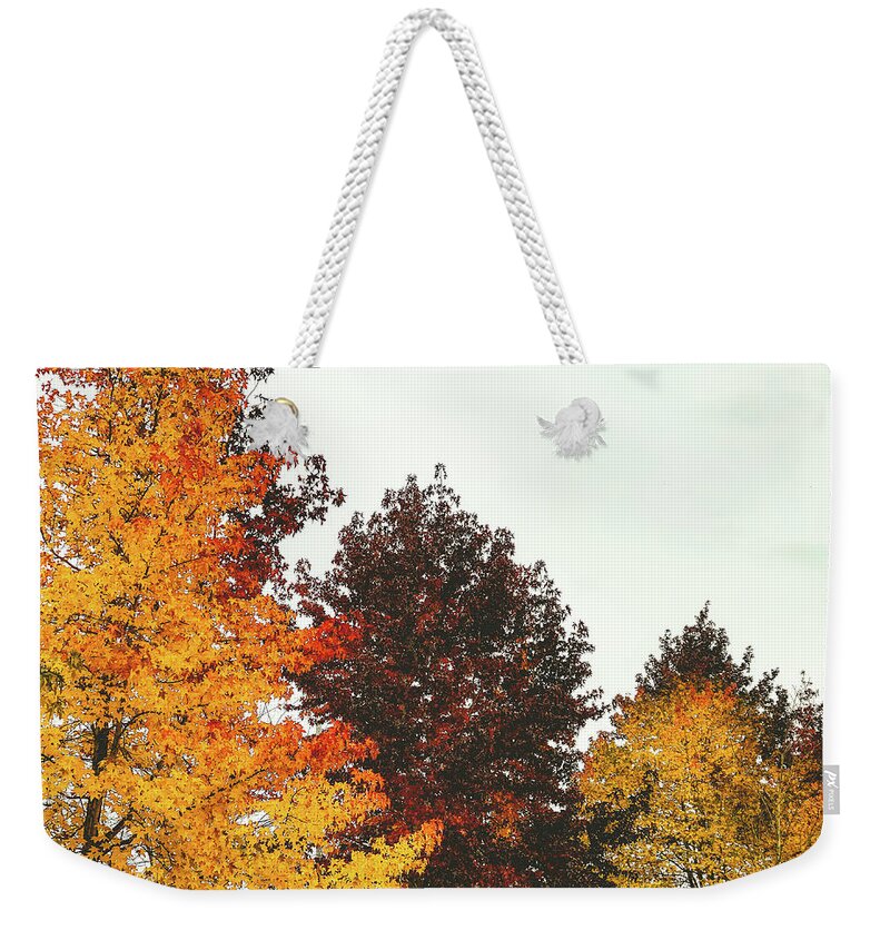 Trees Weekender Tote Bag featuring the photograph Fall by Anamar Pictures