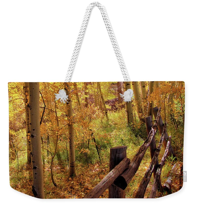 Colorado Weekender Tote Bag featuring the photograph Fall colors #1 by Bob Falcone