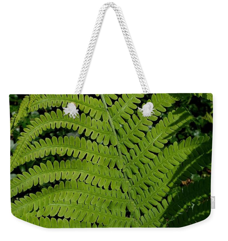 Ferns Weekender Tote Bag featuring the photograph Ferns #1 by Anita Adams