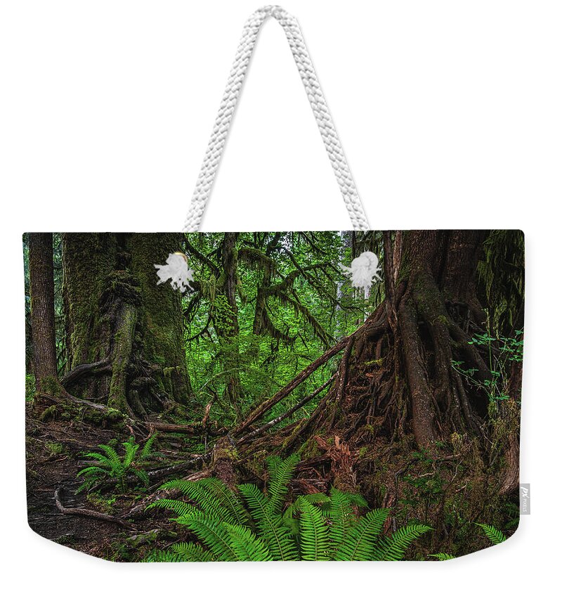 Rainforest Tote Bag