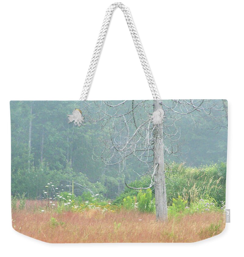 Nature Weekender Tote Bag featuring the photograph Foggy Morning #1 by Mariarosa Rockefeller