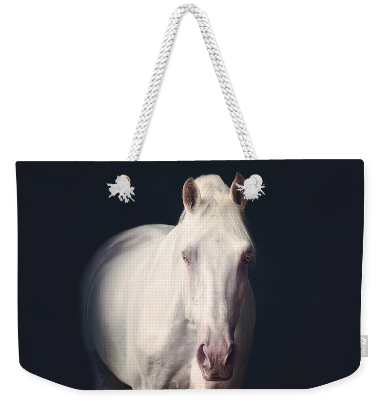 Photographs Weekender Tote Bag featuring the photograph From the shadows - Horse Art #1 by Lisa Saint