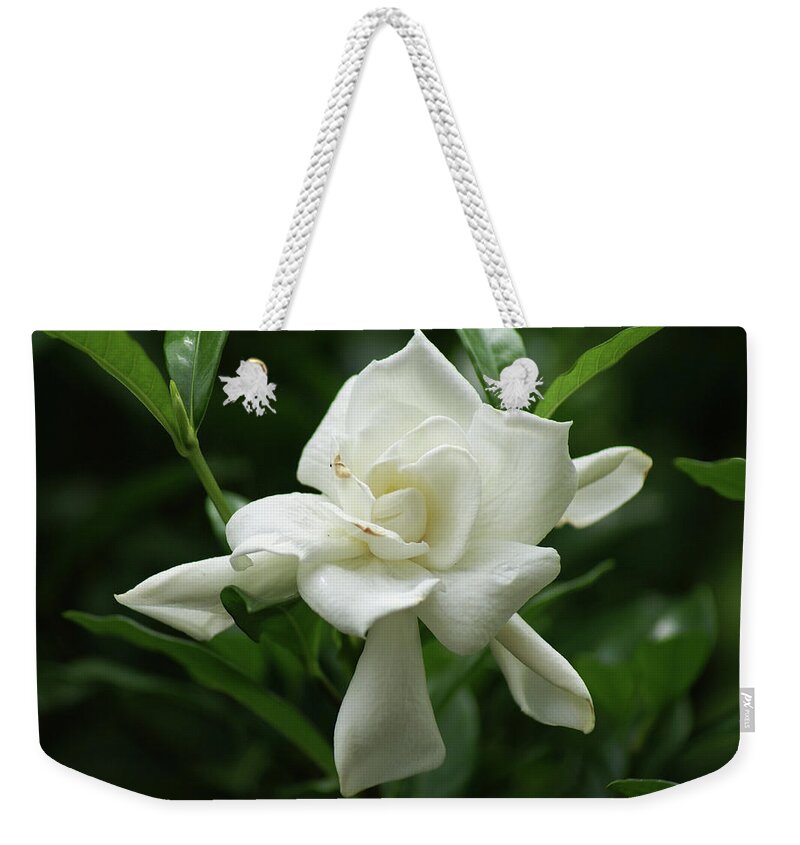  Weekender Tote Bag featuring the photograph Gardenia by Heather E Harman