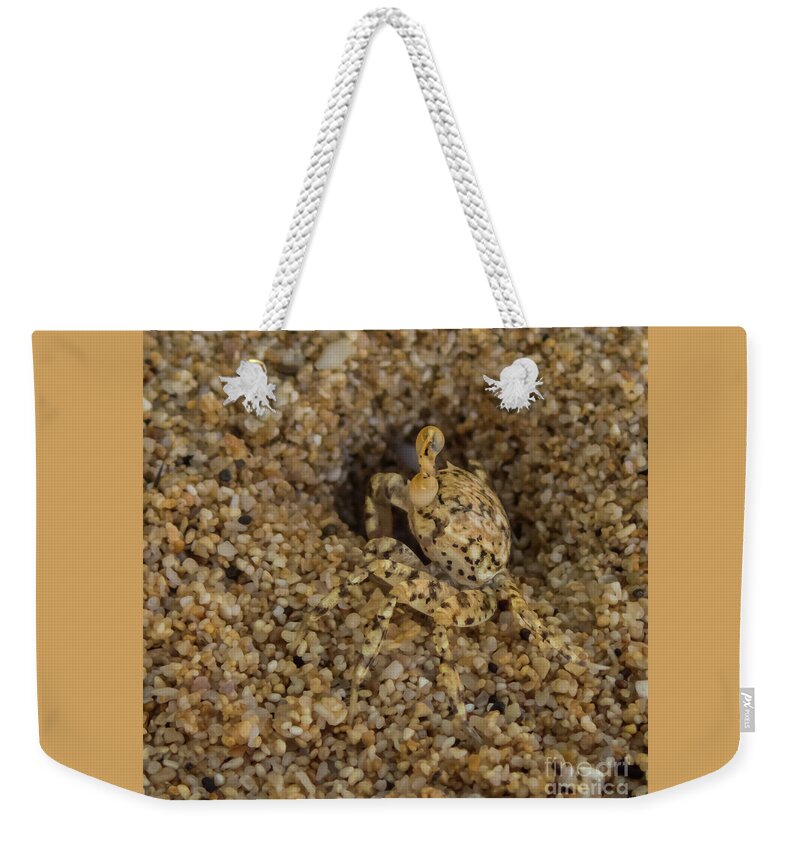 Hawaii Weekender Tote Bag featuring the photograph Ghost Crab at Home in Hole by Nancy Gleason