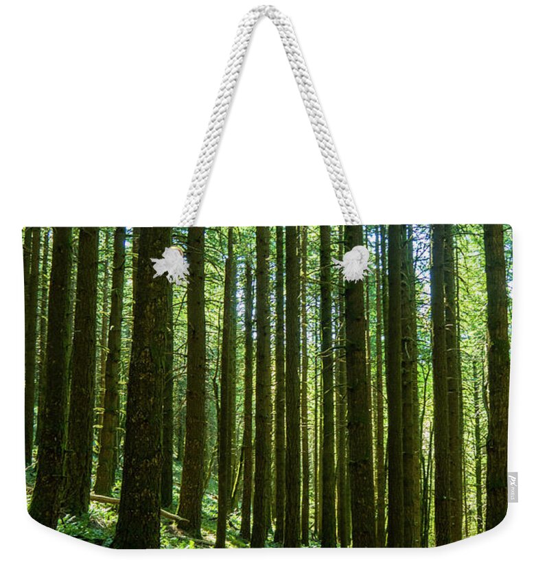 Columbia River Gorge Weekender Tote Bag featuring the photograph Go Take A Hike by Leslie Struxness