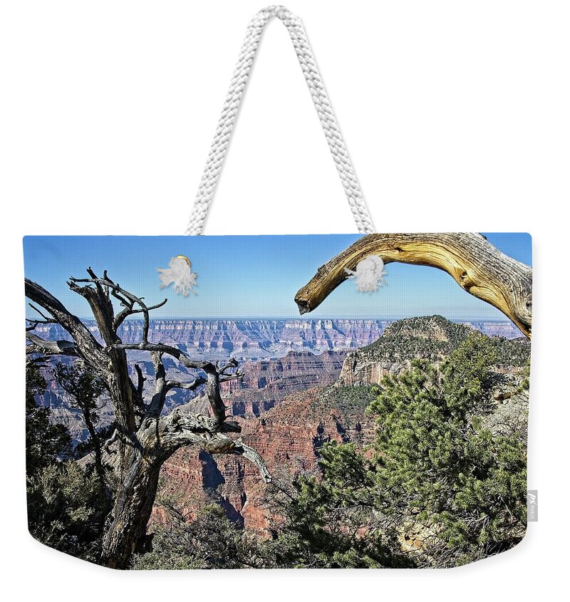 Angel Weekender Tote Bag featuring the photograph Grand Canyon North Rim #1 by Ronald Lutz