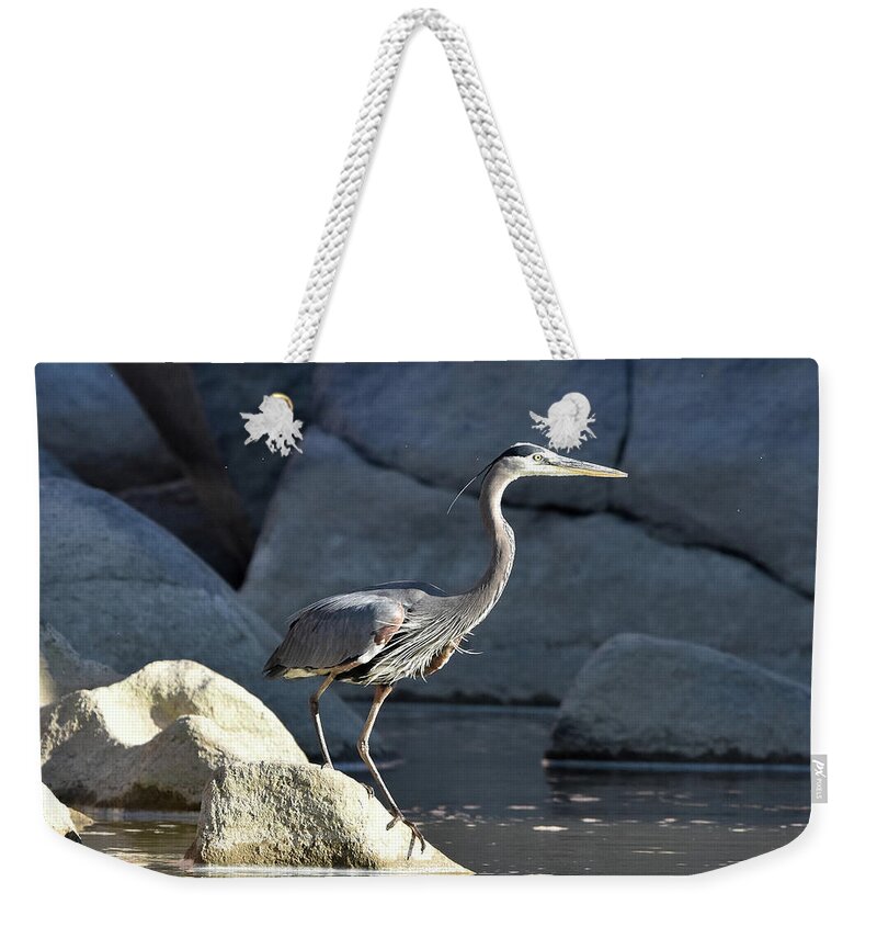 Great Blue Heron Weekender Tote Bag featuring the photograph Great Blue #1 by Ben Foster