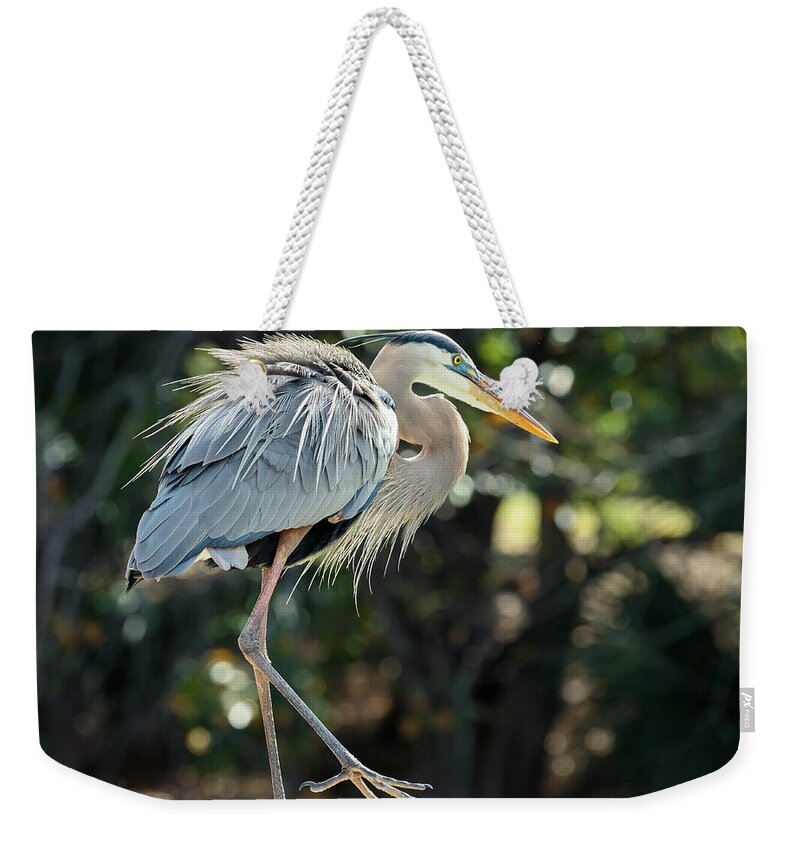 Birds Weekender Tote Bag featuring the photograph Great Blue Heron #1 by David Lee