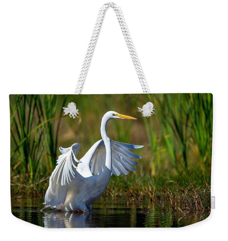 David Eppley.dave Weekender Tote Bag featuring the photograph Great Egret #1 by David Eppley