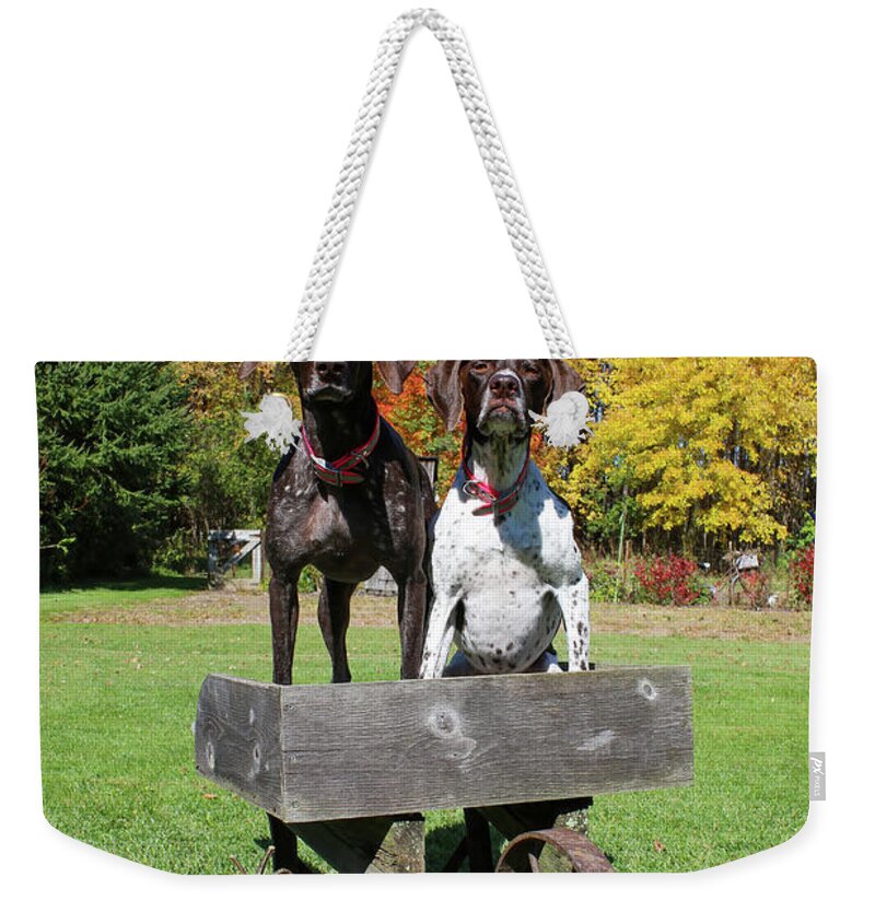 Gsp Weekender Tote Bag featuring the photograph GSP Fall Portrait #1 by Brook Burling