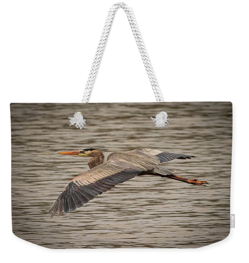 Herron Weekender Tote Bag featuring the photograph Herron Wingbeat 3 #1 by Al Griffin