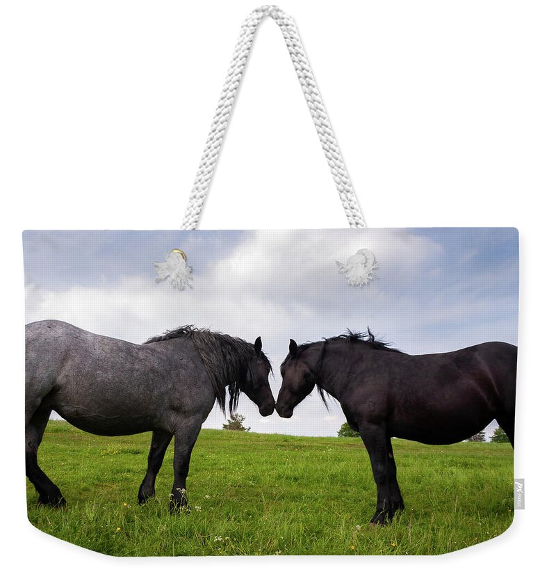 Horses Weekender Tote Bag featuring the photograph Horses nuzzling on slivnica mountain #1 by Ian Middleton