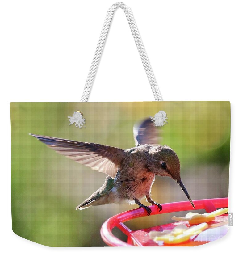 Hummingbird Weekender Tote Bag featuring the photograph Hummingbird Landing #2 by Carol Groenen