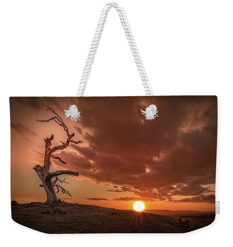 Dramatic Weekender Tote Bag featuring the photograph Intensity by Tim Bryan