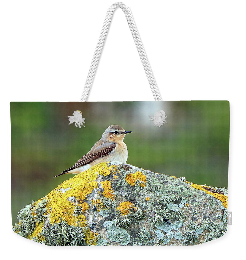  Weekender Tote Bag featuring the photograph Ireland 21 #1 by Eric Pengelly