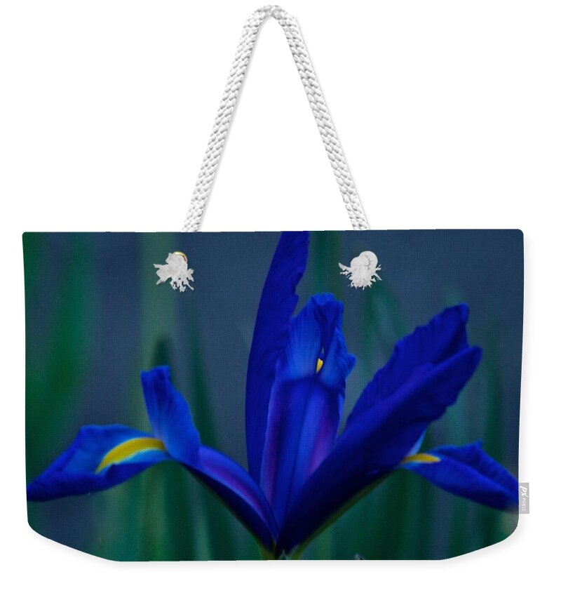 Iris Weekender Tote Bag featuring the photograph Iris Blue #1 by Richard Cummings