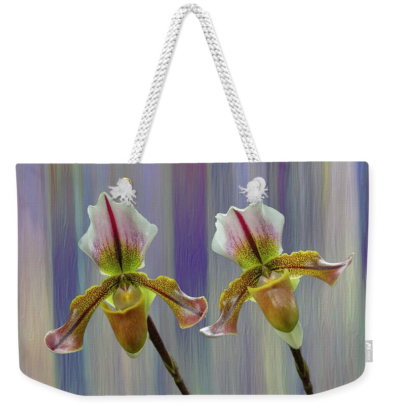 Lady Slipper Orchid Weekender Tote Bag featuring the photograph Lady Slipper Orchid by Cate Franklyn