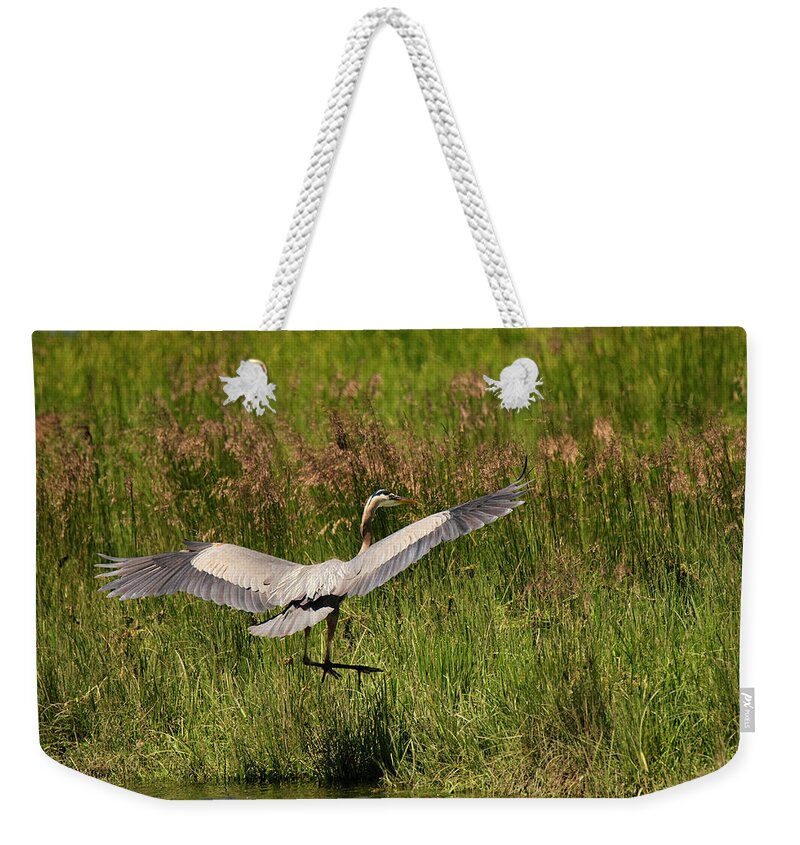 Coastalbirds Weekender Tote Bag featuring the photograph Lift Off #1 by Bill Posner