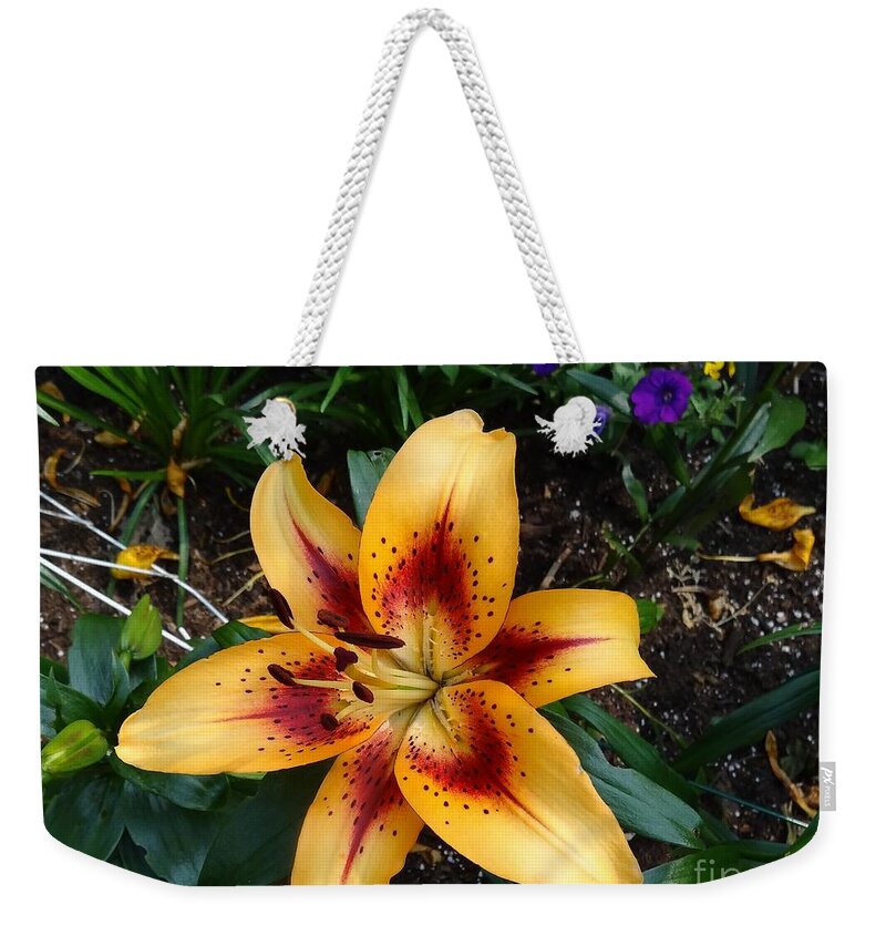  Weekender Tote Bag featuring the photograph Lily #1 by Douglas W Warawa