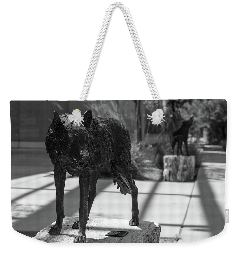 New Mexico Weekender Tote Bag featuring the photograph Lobo statue on the campus of the University of New Mexico #1 by Eldon McGraw