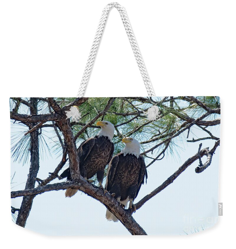 Bald Eagles Weekender Tote Bag featuring the photograph M15 and Harriet #2 by Liz Grindstaff