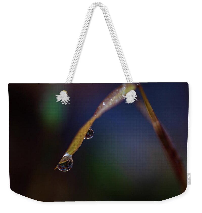 Fall Weekender Tote Bag featuring the photograph Macro Photography - Water Drops on Grass by Amelia Pearn