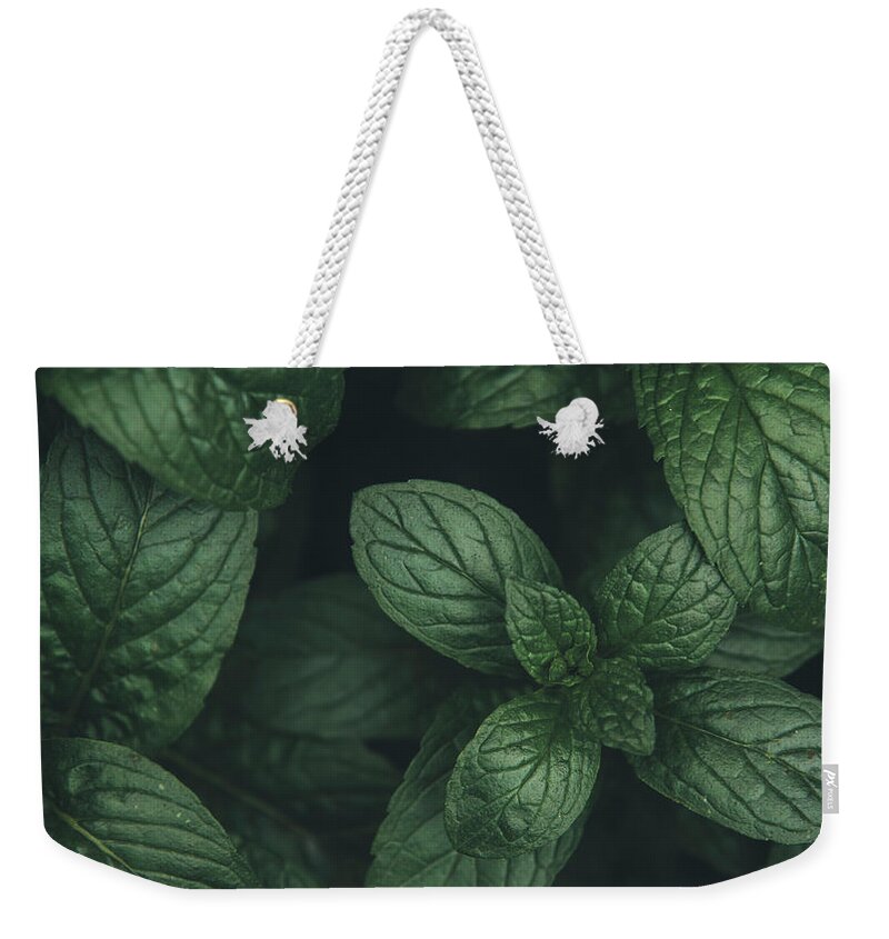 Mint Weekender Tote Bag featuring the photograph Mint green leaves pattern background #1 by Jelena Jovanovic