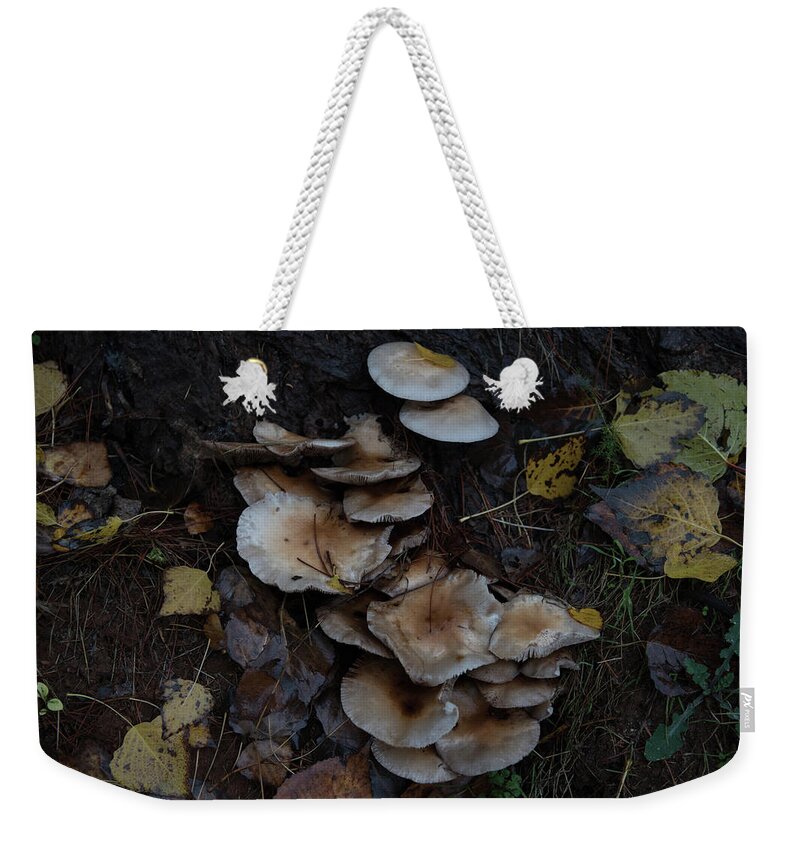 Europe Weekender Tote Bag featuring the photograph Mushrooms #1 by Eleni Kouri