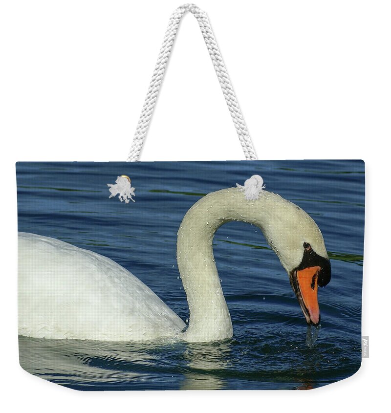 Bird Weekender Tote Bag featuring the photograph Mute Swan #2 by Deb Beausoleil