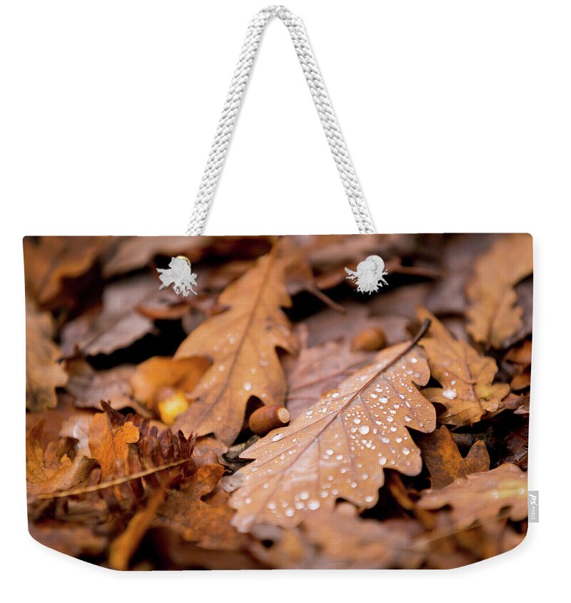 Fall Weekender Tote Bag featuring the photograph Oak Leaves and rain drops by Anita Nicholson